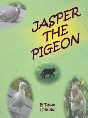 cover image of Jasper the Pigeon